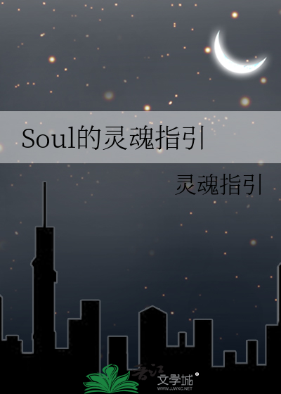 Soul的灵魂指引
