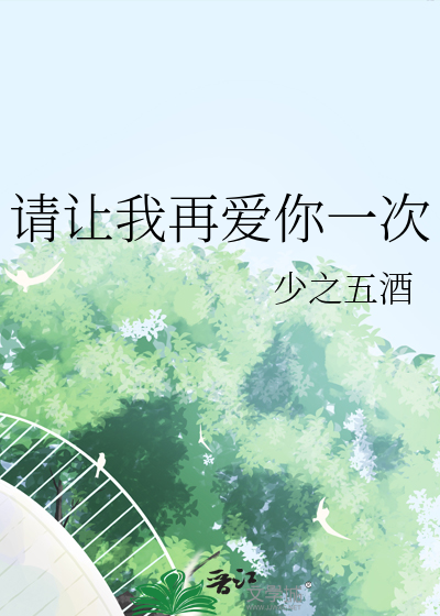 请让我再爱你一次